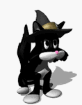 pic for cat hat